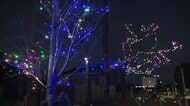 高岡伏木地区　復興への願い込めてイルミネーションを点灯　公園の桜に1600個のLED