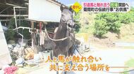 “引退”する馬に「第3の舞台」を…ホースセラピーなどで触れあえる牧場開設へ　クラファンで賛同募る【愛媛発】