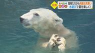 ホッキョクグマはおもちゃをギュウ…猛暑の動物園から水遊びで残暑見舞い【愛媛発】