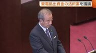 新潟県議会で“東電拠出金”1000億円の活用案議論　『安全・防災対策』に400億円　『地域・産業振興』『電気代補助』にそれぞれ300億円