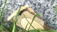 【ナゾ】旧1万円札が切り刻まれ大量に散乱…公園を散歩していた人が発見…いったい誰が何のために…ホンモノかニセモノか警察が捜査＜北海道稚内市＞