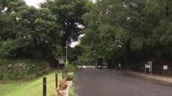“頭だけ”の状態で複数の傷…公園で切断されたウサギの死骸見つかる 先週は400m程先の公園等に子ネコ等の死骸