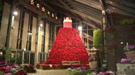 高さ4メートルのポインセチアタワー！今年は“赤一色”　ライトアップで輝き放つ　秋田・潟上市