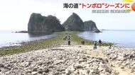 静岡県指定の天然記念物「トンボロ」　約200mの“海の道”多くの観光客でにぎわう