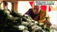 キュウリに病を封じ込めて無病息災を 土用の丑の伝統行事「きうり封じ」【愛媛】
