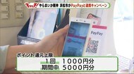 「PayPay」と連携 30パーセントのポイント還元 浜松市