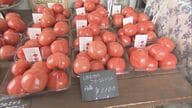 ハウス栽培が旬に…物価高の中でトマトが“値下がり” 卸売価格は去年11月の3分の1に 今後は寒波で再び上昇も