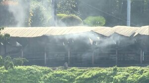 養豚場で火事 全焼 1300頭死ぬ 「豚舎が燃えている」と通報 宮城・登米市