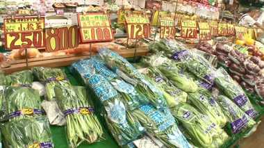 レタスにきゅうり…“異常な暑さ”で野菜の価格が高騰!しばらく続く可能性も