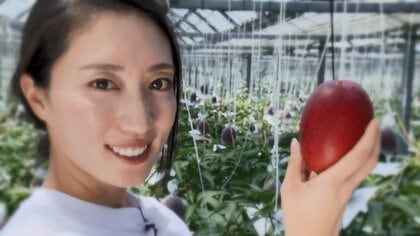 モデルからマンゴー農家に転身　コロナ禍で通販切り替えが「ドはまり」　注文殺到に嬉し涙【宮崎発】