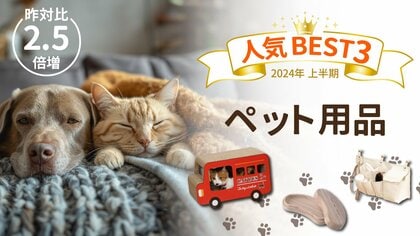 【上半期BEST】ペット用品の販売数TOP3を発表 注目は昨対比2.5倍増の「ねこひげケース」求められる理由を調査