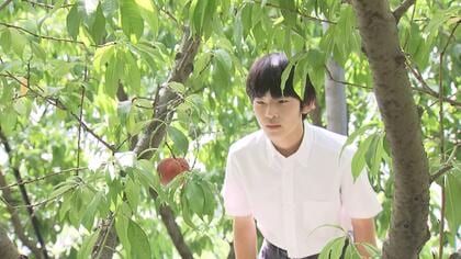 悠仁さま「自然誌」学べる大学への進学希望　側近が明らかに