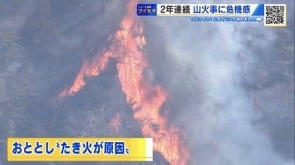相次ぐ山火事に“新ルール”　罰則もある「林野火災注意報・警報」とは？　全国各地で1月から運用開始