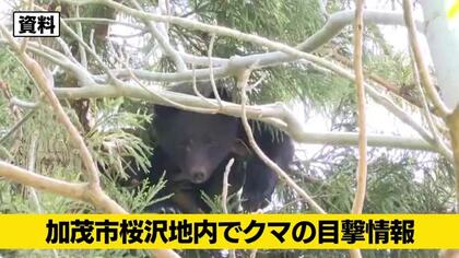 【クマ目撃情報】新潟・加茂市でクマ1頭を目撃　警察と市が警戒活動