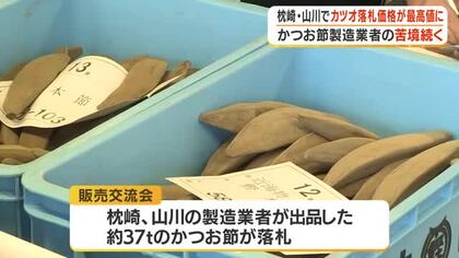 枕崎・山川でカツオ落札価格が最高値に　かつお節製造業者の苦悩続く【鹿児島】
