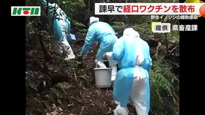 野生イノシシ「豚熱」感染で22日に経口ワクチンを散布  半径10km圏内の養豚場に異常なし