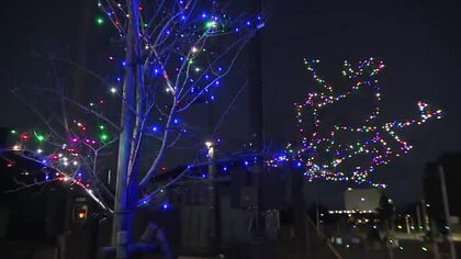 高岡伏木地区　復興への願い込めてイルミネーションを点灯　公園の桜に1600個のLED