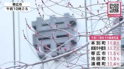 【春めく】帯広市周辺で15℃前後か_北海道内で今年一番の暖かさになりそう…木の芽の芽吹きを促すような”4月下旬並み”の暖かさに＜北海道＞