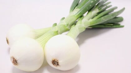 「新玉ねぎ」は水にさらさず空気にさらして！傷んだ箇所の処理から保存法、甘みを引き出す絶品レシピまで徹底解説