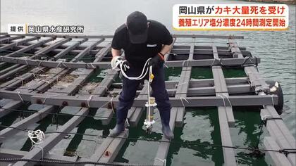 養殖カキ大量死受け…瀬戸内市と備前市の２つの養殖エリアで塩分濃度・海水温の２４時間測定始まる【岡山】