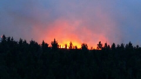 ベルギー東部で史上最悪規模の山火事　27平方キロメートル焼失　住民数百人に避難指示