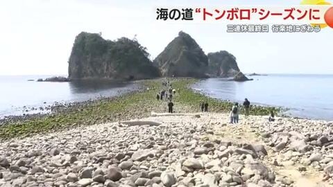 静岡県指定の天然記念物「トンボロ」　約200mの“海の道”多くの観光客でにぎわう