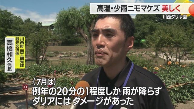 2025年7月・1カ月の山形の降水量は8ミリ(気象庁データより)
