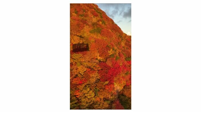 2023年10月下旬の紅葉の様子