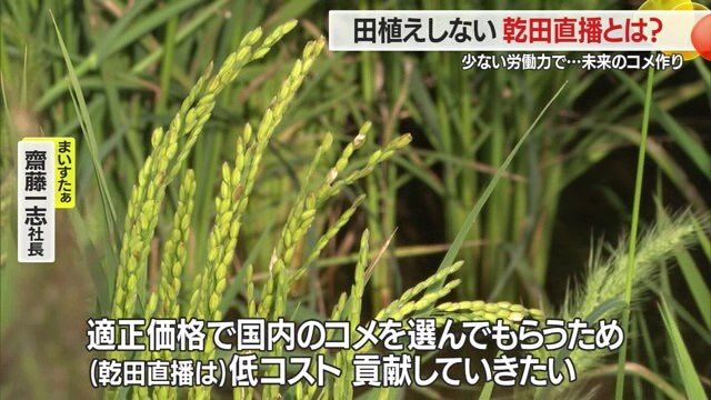 労働力の省力化、適正価格でコメを安定供給していくため、乾田直播がその助けに