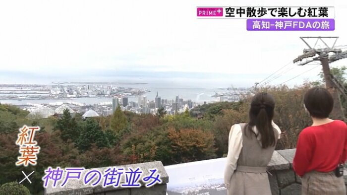 山頂からの大パノラマ