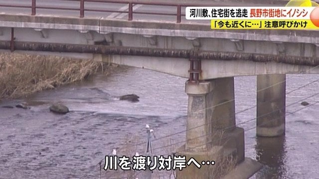 川を渡って対岸へ