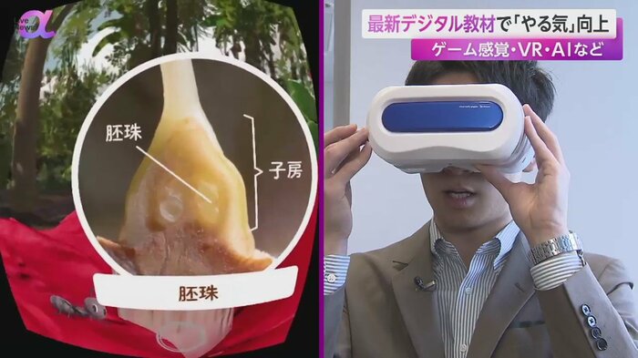 VRで植物を立体的に学べる