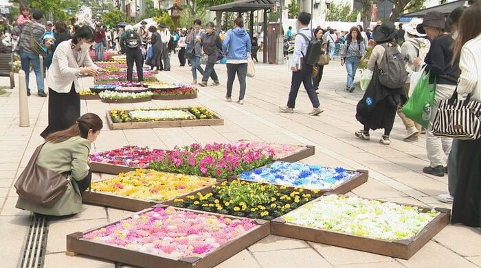 長野市の表参道で「善光寺花回廊」