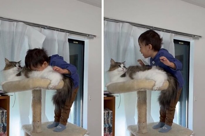 大きくなった弟くんは“猫吸い”もお手の物?