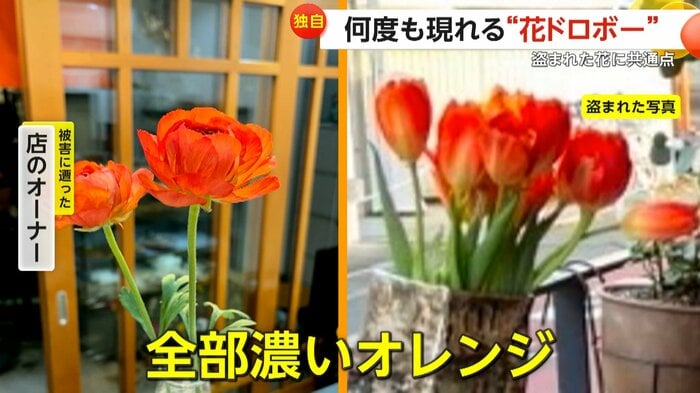 盗まれたという花の写真(視聴者撮影)