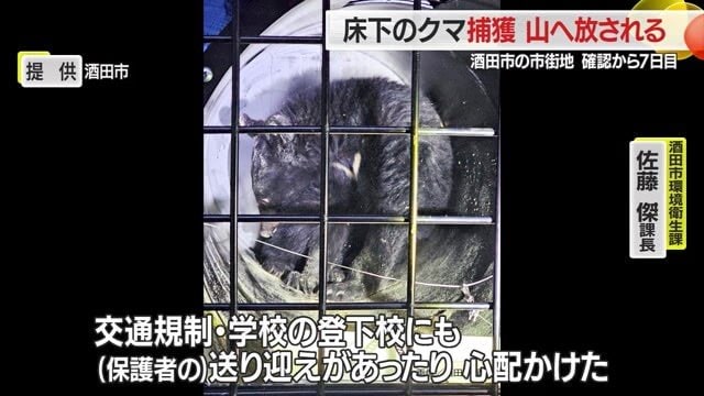 クマが捕獲され山に放されたことにより、町に平穏が戻った