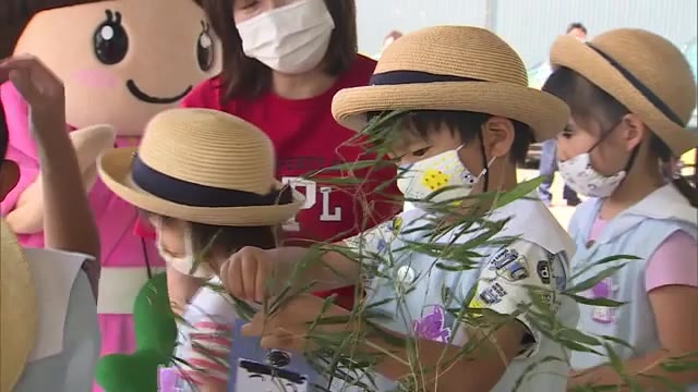 「あおり運転しませんように」 交通安全の願い“短冊”に込め 園児が飾り付け【新潟・糸魚川市】