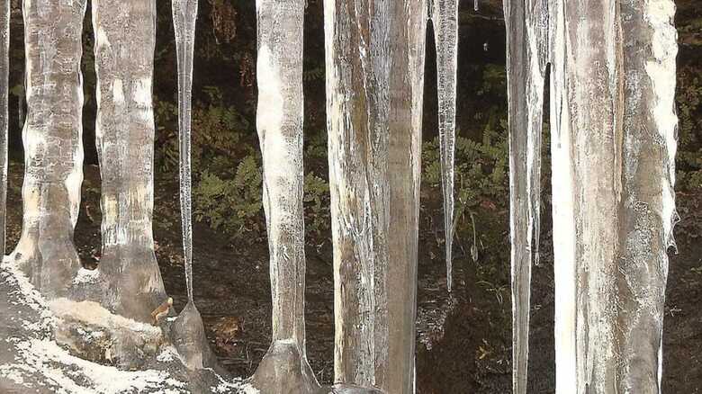 ものすごい透明度！冬の秩父が生み出す「氷柱」が神秘的　　