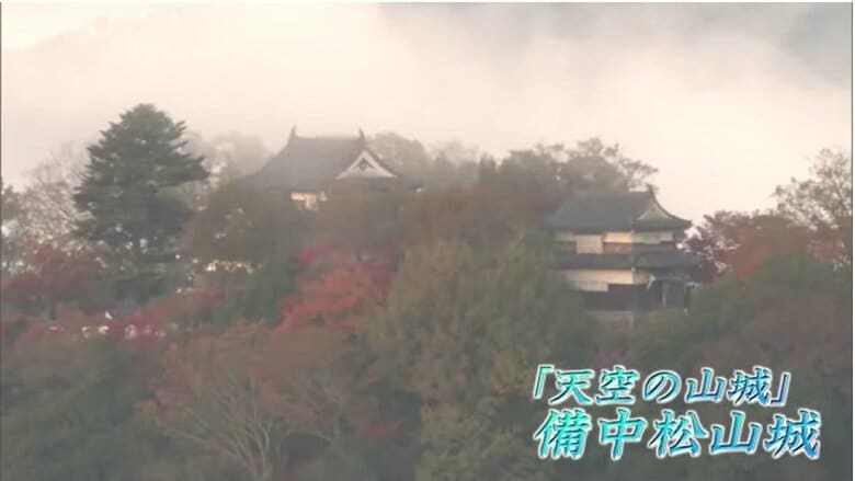 “天空の山城”備中松山城の見学計画が立てやすく！岡山理科大提供の「雲海ＡＩ予報」が週間予報に【岡山】｜FNNプライムオンライン