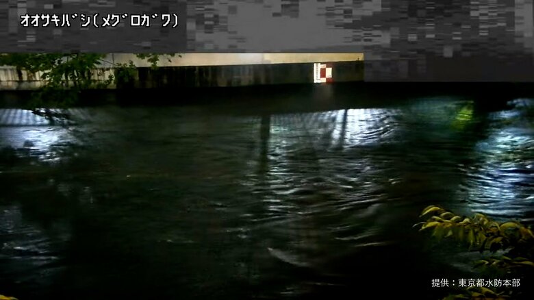 【速報】東京都で記録的短時間大雨情報…練馬区110ミリ杉並区100ミリ中野区110ミリ渋谷区100ミリ｜FNNプライムオンライン