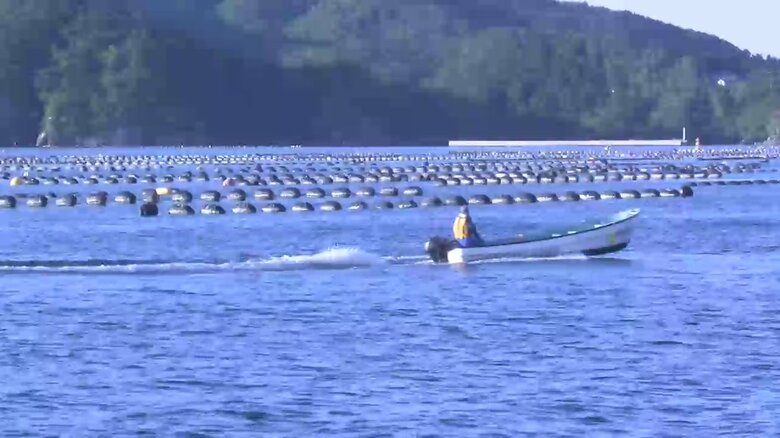 三陸沖の海水が世界最大の6℃上昇！東北大学の研究グループが発表　「南の魚が宮城・岩手でも」やませへの影響も懸念｜FNNプライムオンライン