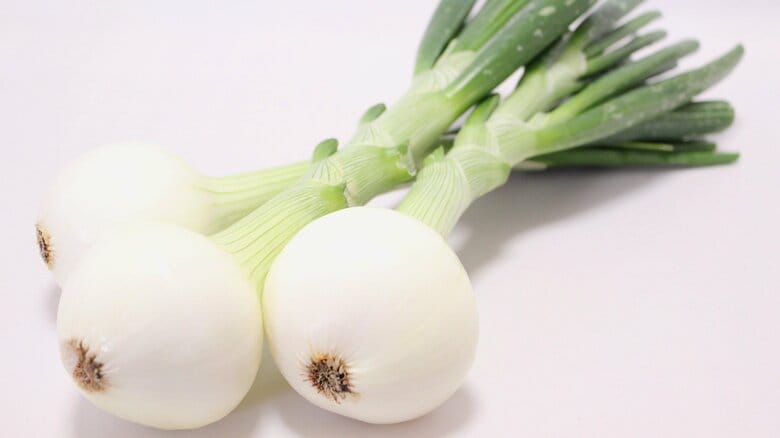 「新玉ねぎ」は水にさらさず空気にさらして!傷んだ箇所の処理から保存法、甘みを引き出す絶品レシピまで徹底解説|FNNプライムオンライン