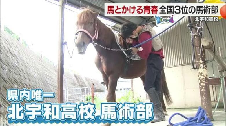 「将来は競走馬の調教師に」愛媛県内唯一の馬術部で馬と青春をかける高校生・北宇和高校の#青春にエール【愛媛発】<br />|FNNプライムオンライン