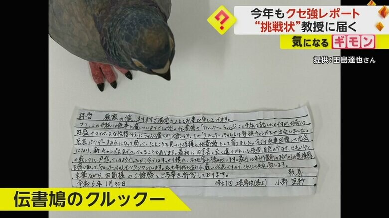模型伝書鳩の足にくくりつけた筒に忍ばせたレポート