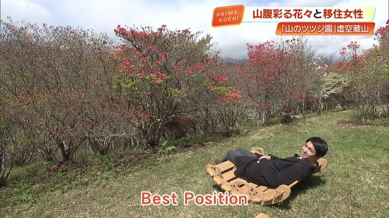 お気に入りの椅子・場所で観賞できる