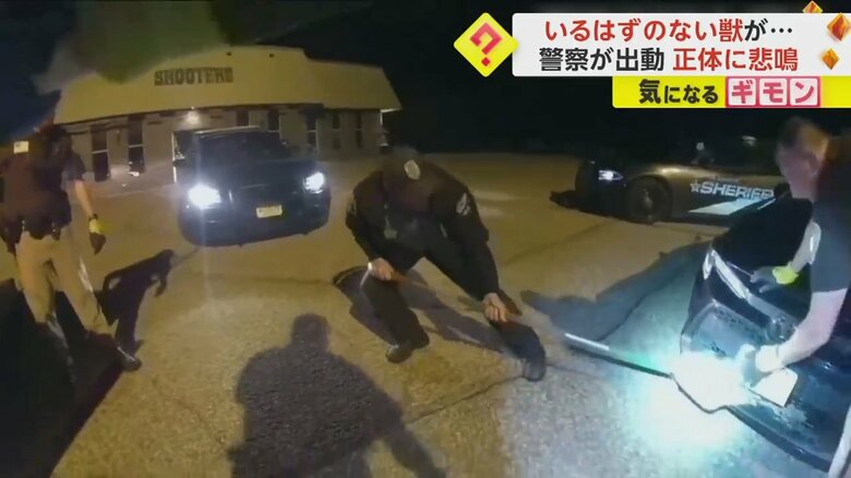 いるはずのない“獣”が警察官によって引っ張り出される様子②