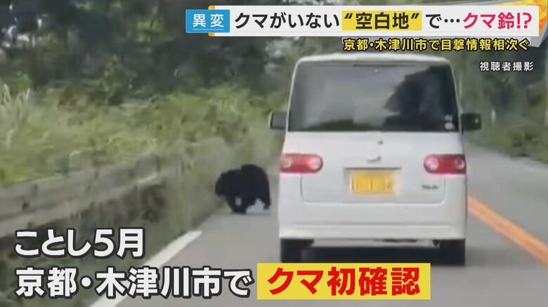 視聴者撮影で目撃されたクマ
