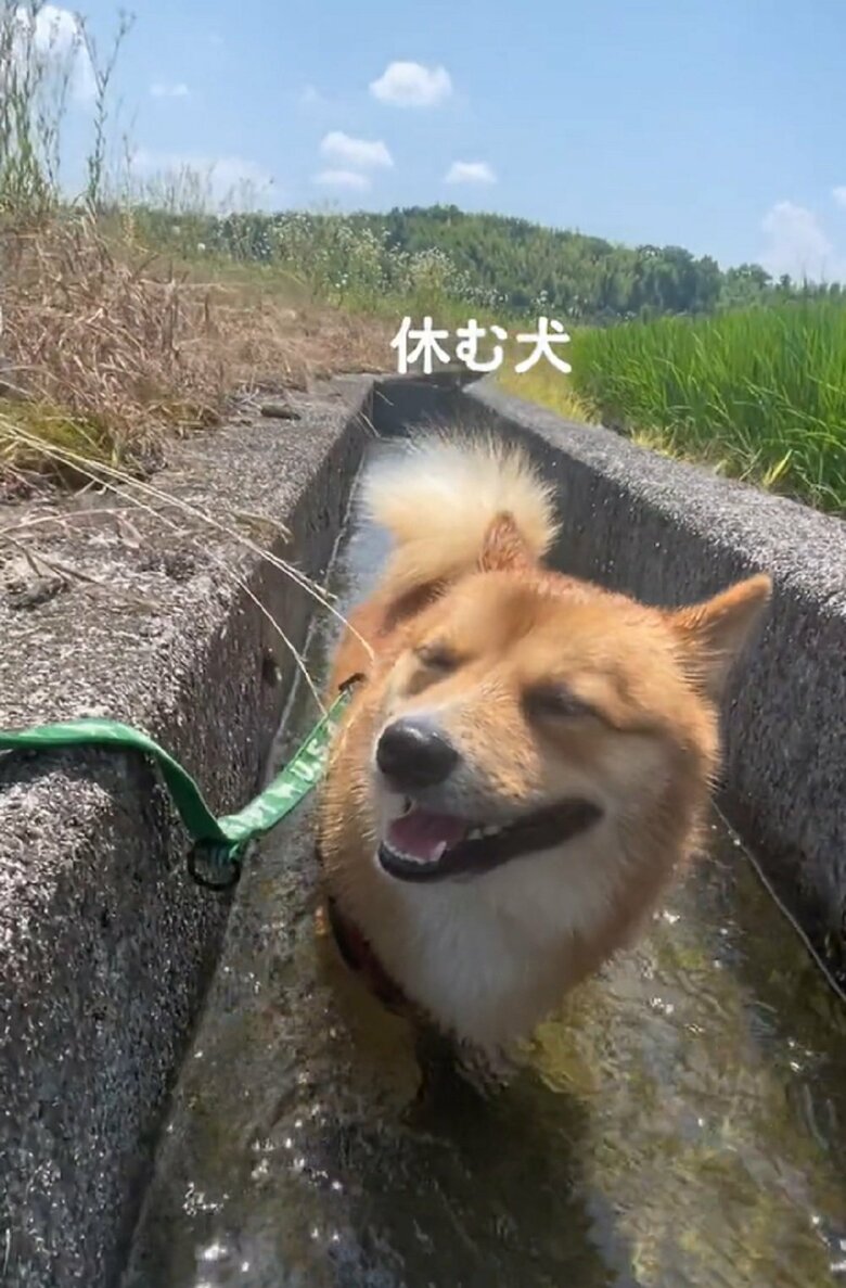 散歩中のひと休み
