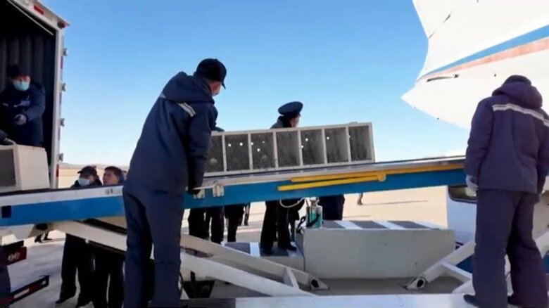 ロシアから北朝鮮に動物が贈られる様子