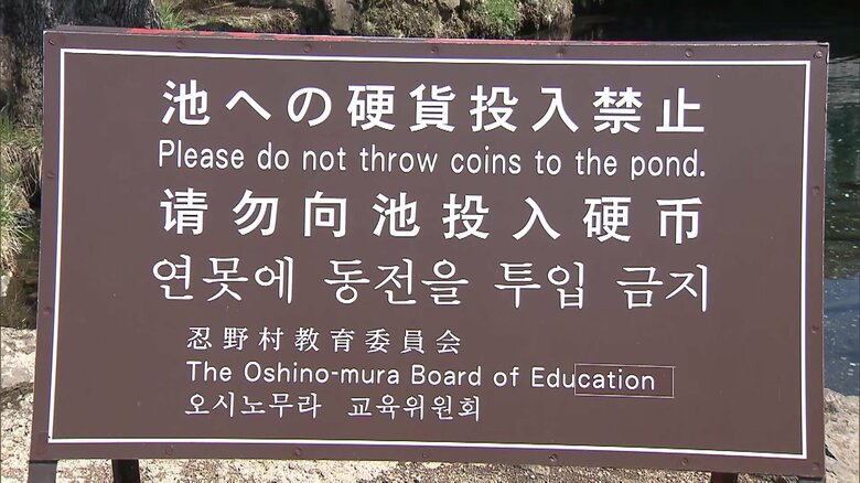4カ国語で「投げ入れ禁止」と書かれている